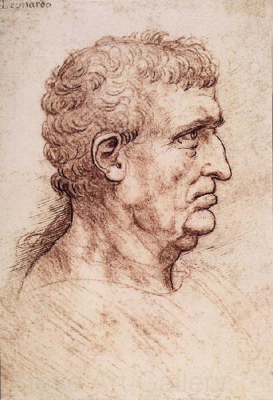 LEONARDO da Vinci Profile of a man Spain oil painting art